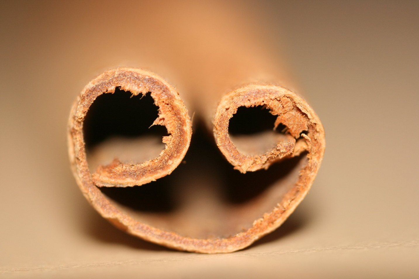is cinnamon good or bad for gerd (acid reflux)